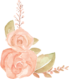 bloom_top_rose_03.png